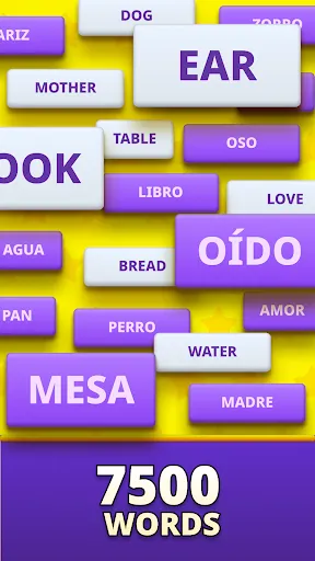 MomoLingo: English and more | Games | XWorld MomoLingo: English and more | Games | XWorld