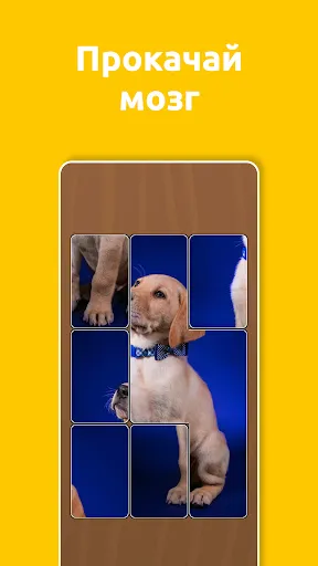 Jigsol Blocks | Игры | XWorld