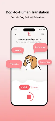 Traini-Dog Translator&Training | 游戏 | XWorld Traini-Dog Translator&Training | 游戏 | XWorld