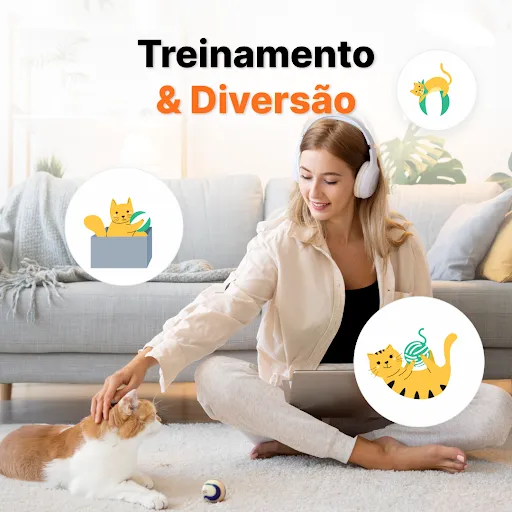 Tradutor De Humano Para Felino | Jogos | XWorld