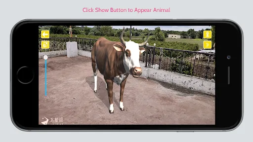 Animal Ar | Games | XWorld