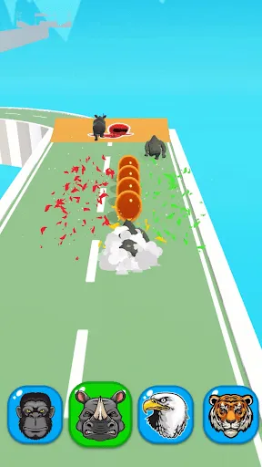 Corrida de Animais | Jogos | XWorld