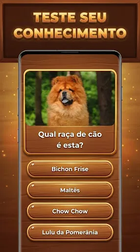 Bum de Trivia: Trivia Blocks | Jogos | XWorld