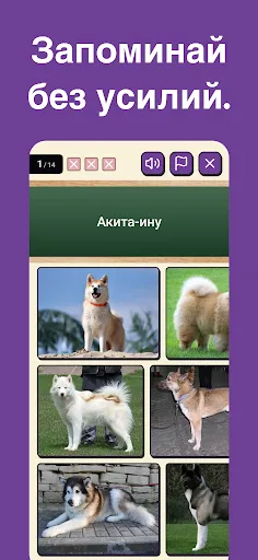 Squiz - Учись играя | Игры | XWorld Squiz - Учись играя | Игры | XWorld