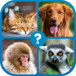 XWorld | Guess the Word : Word Puzzle XWorld | Guess the Word : Word Puzzle