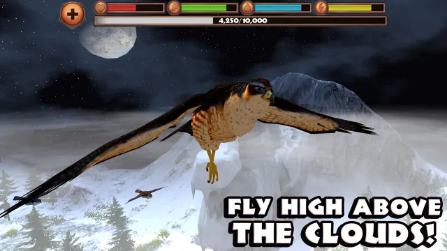 Falcon Simulator | Jogos | XWorld