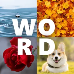 XWorld | Word 4 Pics