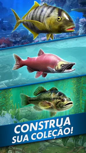 Go Fishing! Jogo de Pesca | Jogos | XWorld