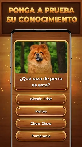 Trivia Madera: Trivia Blocks | juego | XWorld Trivia Madera: Trivia Blocks | juego | XWorld