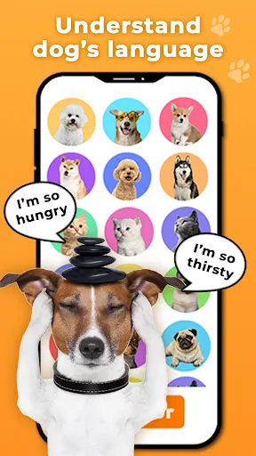 Dog Translator: Trainer | 游戏 | XWorld