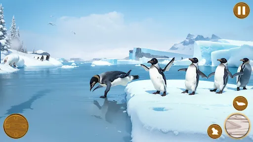 Arctic Penguin Life Simulator | Games | XWorld