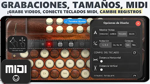 Acordeón Diatónico de Botones | juego | XWorld