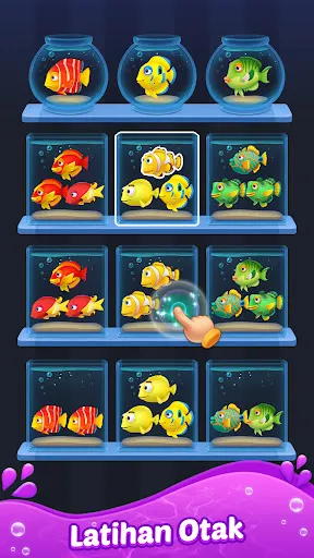 Fish Sort 3D: Match Puzzle | Permainan | XWorld