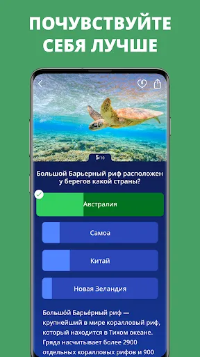 Антистресс викторина: Zen Quiz | Игры | XWorld