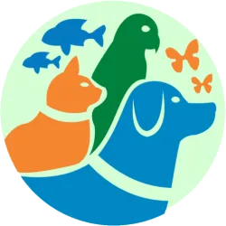 XWorld | Animal Quiz: Augmented Reality