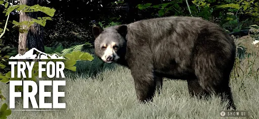 WOTH Wild America: Try & Buy | เกม | XWorld