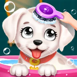 XWorld | Salón para cachorros Labrador