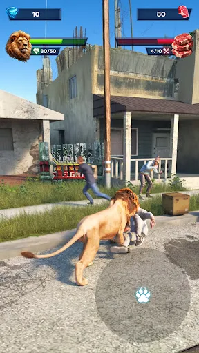Lion Survival - Wild Beast Sim | 游戏 | XWorld