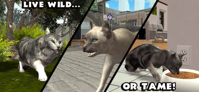 Ultimate Cat Simulator | Games | XWorld