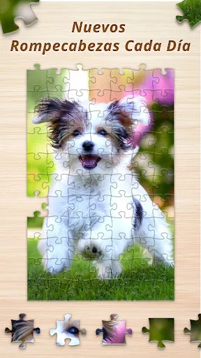 Rompecabezas - Jigsaw Puzzles | juego | XWorld