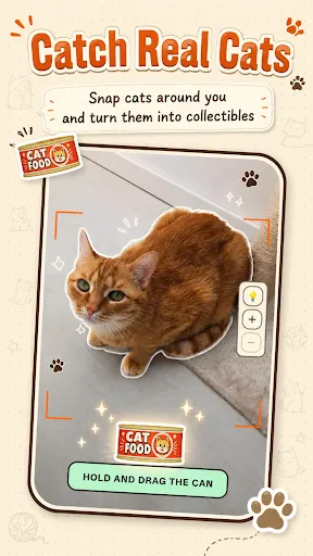 CatchCat | Permainan | XWorld CatchCat | Permainan | XWorld