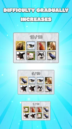 Animal Name Filter Challenge | Permainan | XWorld