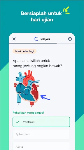 Quizlet:flashcard bertenaga AI | Permainan | XWorld