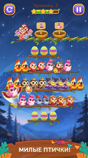 Сортировка Птиц 3: Головоломка | Игры | XWorld