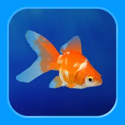 XWorld | Ikan Mas 3D - Akuarium Santai