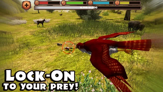 Falcon Simulator | Jogos | XWorld