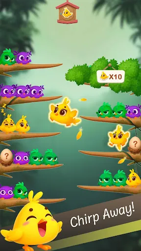 Chirpy Sort: Bird Color Puzzle | Игры | XWorld