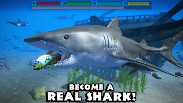 Ultimate Shark Simulator | Games | XWorld