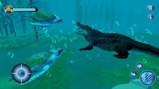 Ocean turtle tortoise Sea Game | Игры | XWorld