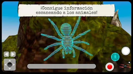 Insectos & Arañas Juego AR/VR | juego | XWorld