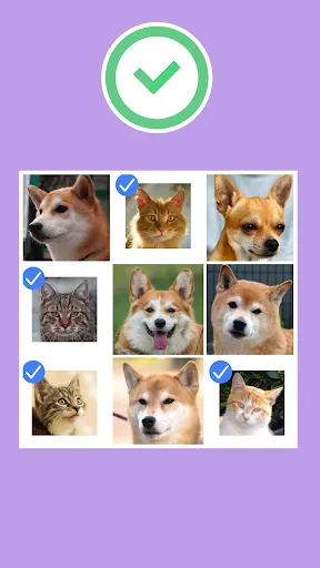 No se permiten robots | juego | XWorld