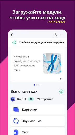 Quizlet: карточки на основе ИИ | Игры | XWorld Quizlet: карточки на основе ИИ | Игры | XWorld