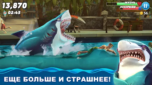 Hungry Shark World | Игры | XWorld