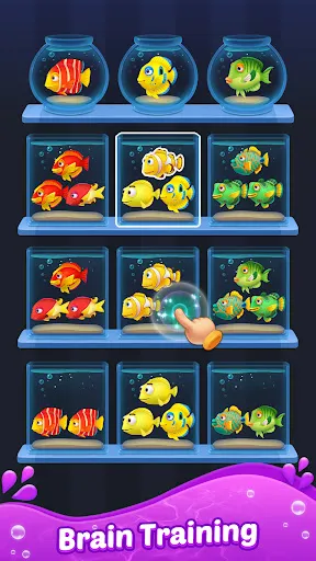 Fish Sort 3D: Match Puzzle | 游戏 | XWorld
