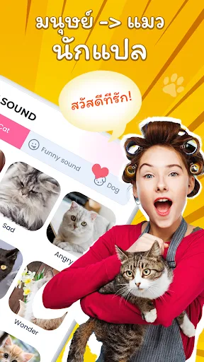 ยินดีต้อนรับสู่ - แปลภาษาแมว | เกม | XWorld