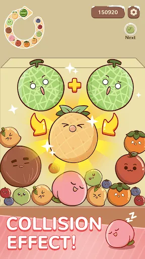 Fruit Drop Master | 游戏 | XWorld