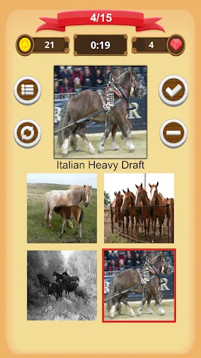 Cavalos - Quiz | Jogos | XWorld