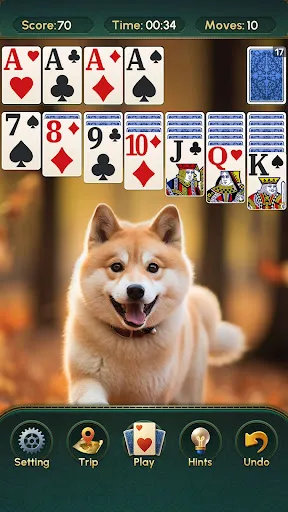 Solitaire:Classic Deluxe Cards | Игры | XWorld