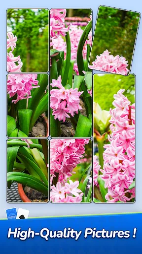 Jigsawcard Solitaire Puzzle | Игры | XWorld Jigsawcard Solitaire Puzzle | Игры | XWorld