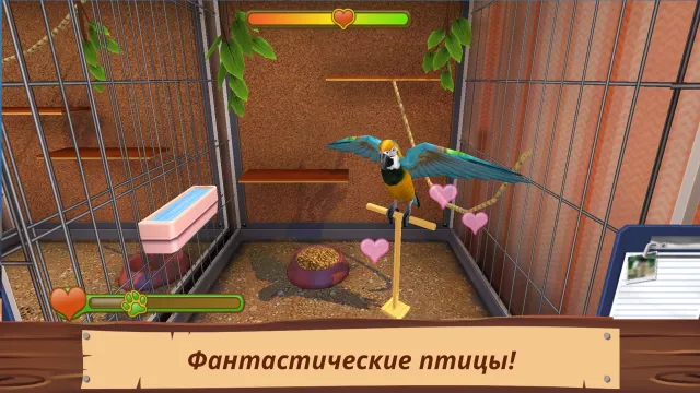 Pet World Премиум | Игры | XWorld