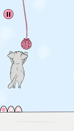Cat&Ball | Игры | XWorld