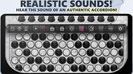 Accordion Chromatic Cassoto | Games | XWorld