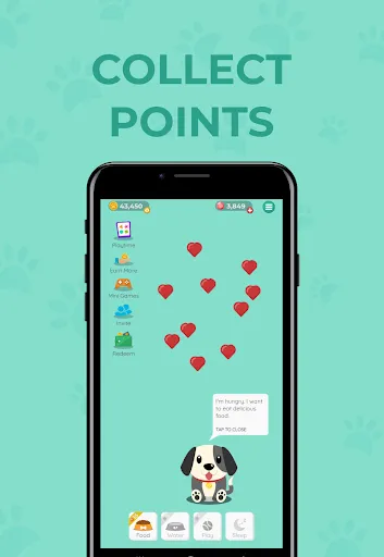 Lovely Pet | Games | XWorld