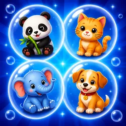 XWorld | Bubble Category Sort