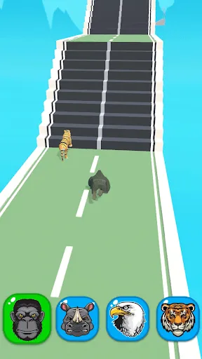 Corrida de Animais | Jogos | XWorld