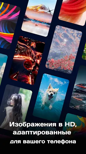 Canvas Launcher | Игры | XWorld